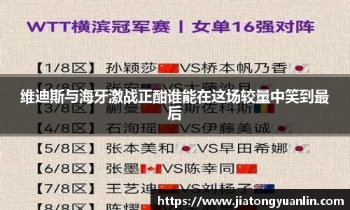 维迪斯与海牙激战正酣谁能在这场较量中笑到最后