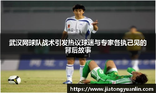 武汉网球队战术引发热议球迷与专家各执己见的背后故事